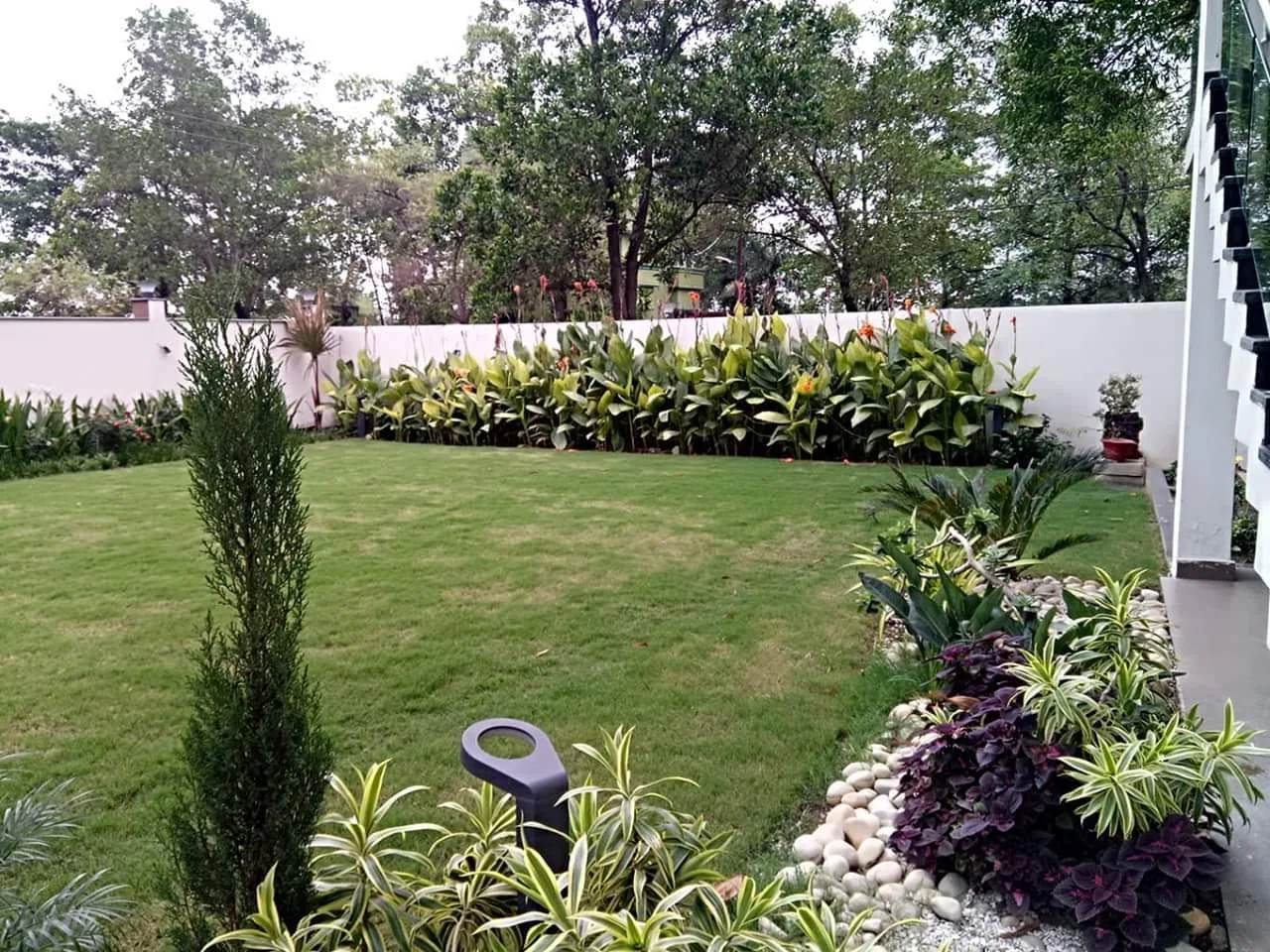 Lawn & Edge
